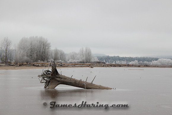 Ice Fog