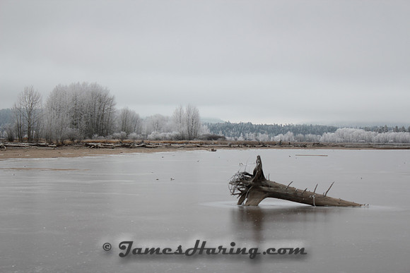 Ice Fog